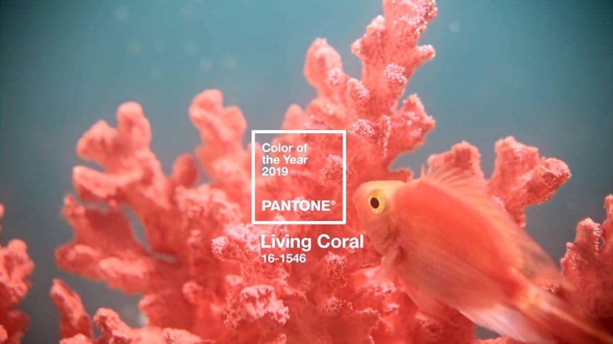Living Coral